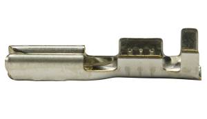 Connector Experts - Normal Order - TERM185C - Image 2