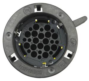 Connector Experts - Special Order  - CET1646B - Image 4