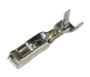 Connector Experts - Normal Order - TERM649 - Image 2