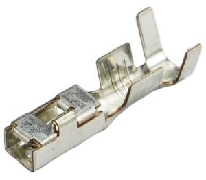 Connector Experts - Normal Order - TERM533B - Image 1