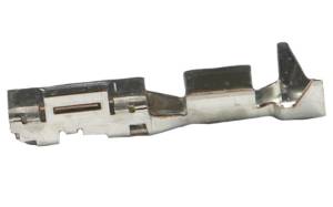 Connector Experts - Normal Order - TERM736 - Image 2