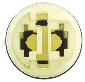 Connector Experts - Normal Order - EX2081 - Image 4