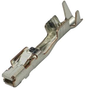 Connector Experts - Normal Order - TERM2053A - Image 1