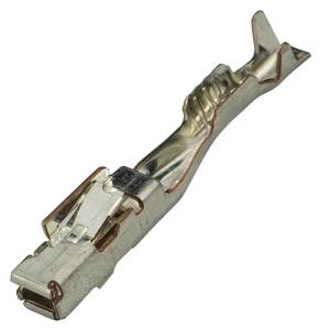 Connector Experts - Normal Order - TERM2053F - Image 1