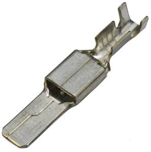 Connector Experts - Normal Order - TERM493 - Image 1