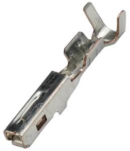 Connector Experts - Normal Order - TERM32C - Image 1