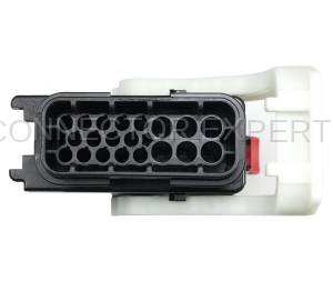 Connector Experts - Special Order  - EXP2024 - Image 4